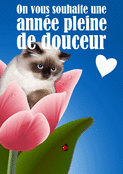 Voeux tendres pour une ann&eacute;e de chats